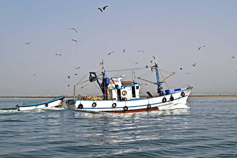 Az Európai Tengerügyi és Halászati Alap végrehajtásával