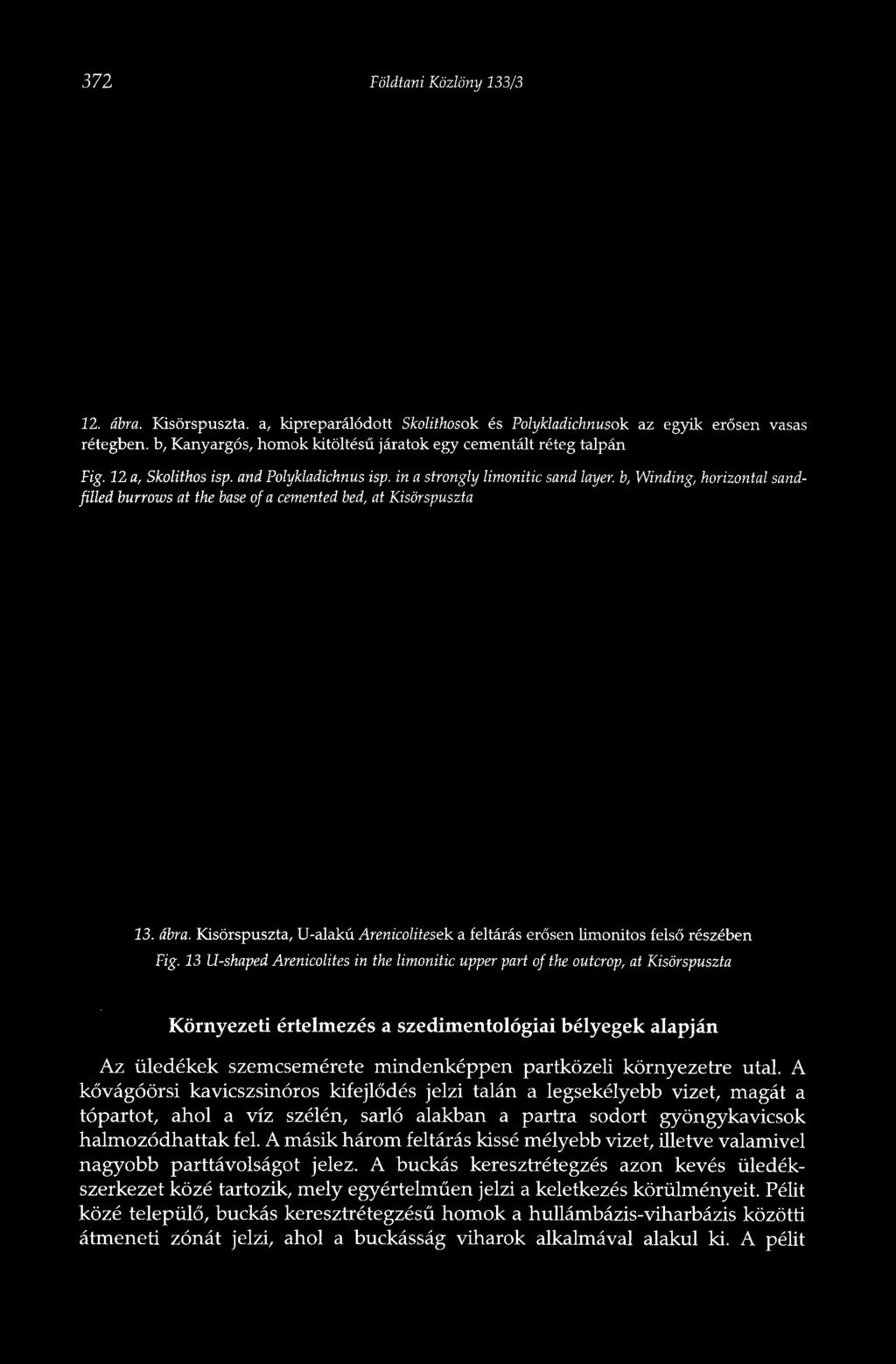 12 a, Skolithos isp. and Polykladichnus isp.