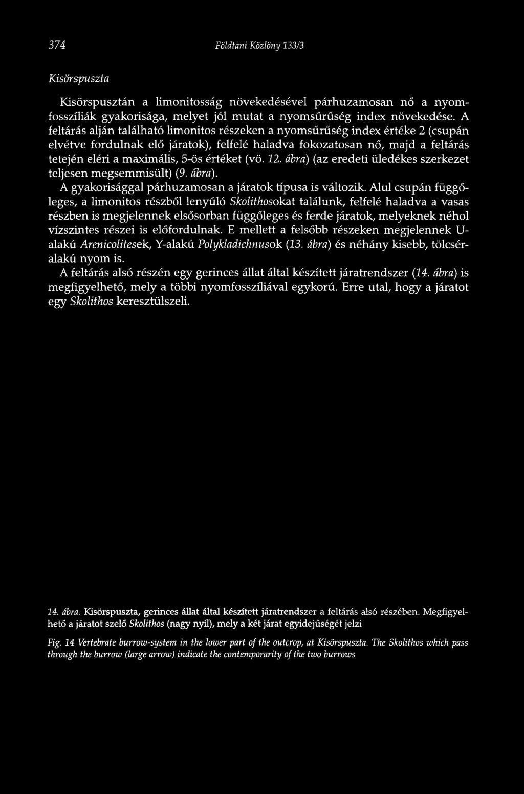 értéket (vö. 12. ábra) (az eredeti üledékes szerkezet teljesen megsemmisült) (9. ábra). A gyakorisággal párhuzamosan a járatok típusa is változik.