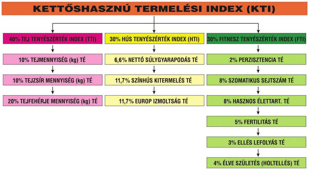 Tisztelt Tenyésztők, Kollégák! 2012. január 1-től a régi összetételű (1 x Tej kg TÉ+1 x Zsír kg TÉ+2 x Fehérje kg TÉ) Kettőshasznú Termelési Index (KTI), Tej Tenyészérték Index (TTI) elnevezést kap.