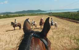 Balatonalmádi kikötő Tel: +36 30 425 6927 Kedvezmény a sétahajó járatok
