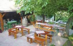 7/a Tel: +36 30 270 7864 A kedvezmény valamennyi lovas szolgáltatásra