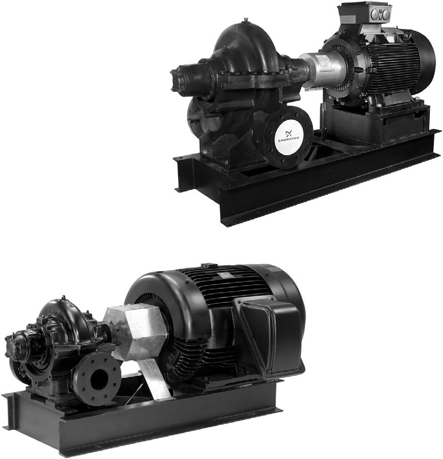 GRUNDFOS KEZELÉSI UTASÍTÁSOK HS Horizontal