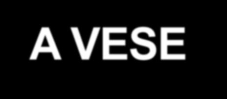 A VESE IMMUNPATOLÓGIAI BETEGSÉGEI Dr.