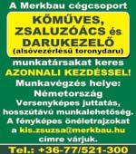 GYÖNYÖRÜ SZŐNYEGEK BOMBA ÁRON!