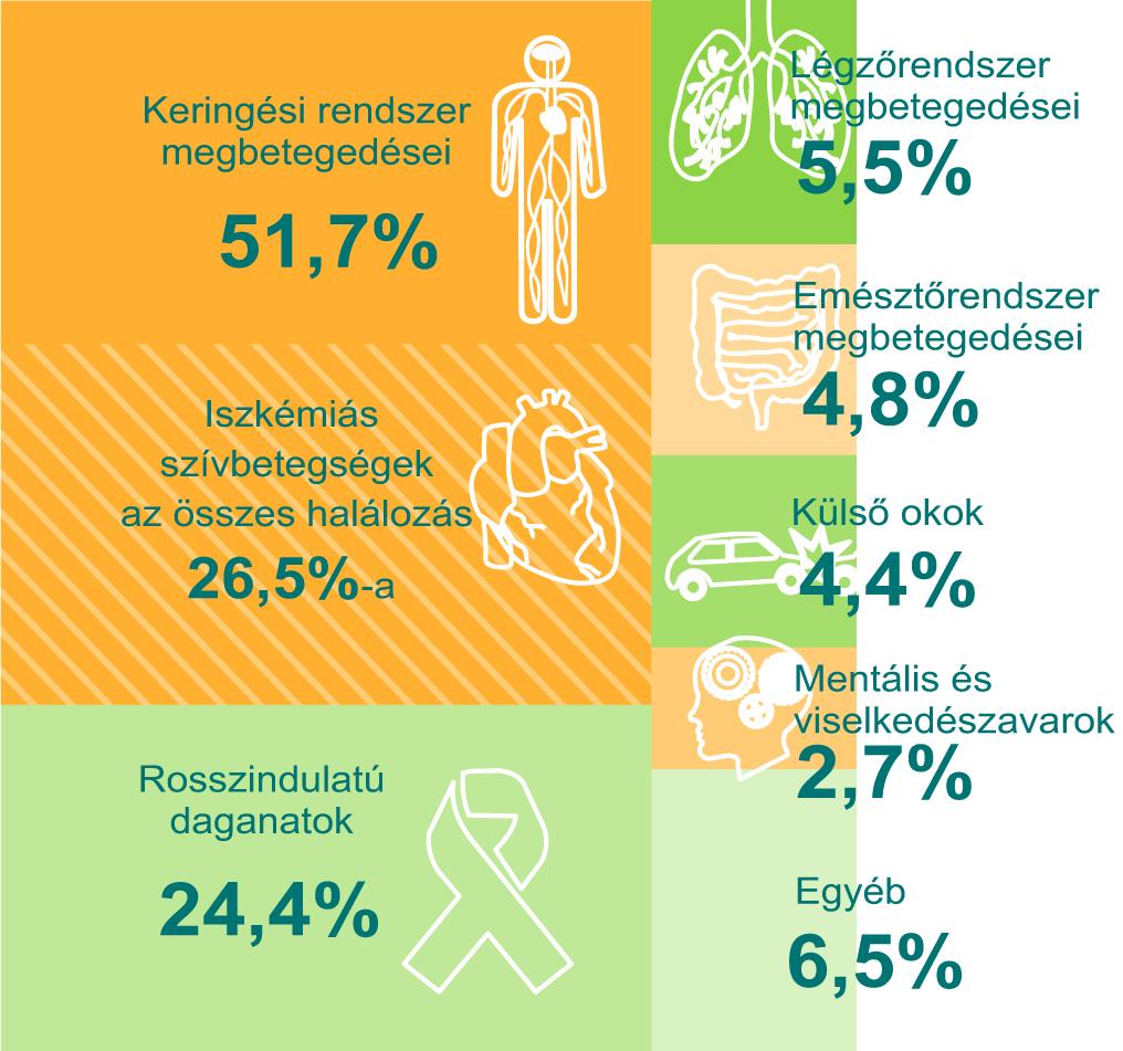 4. ábra: Egészséges életévveszteségek kiemelt betegségcsoportokra (2013) 59,2 év, nõknél 60,9 év volt.