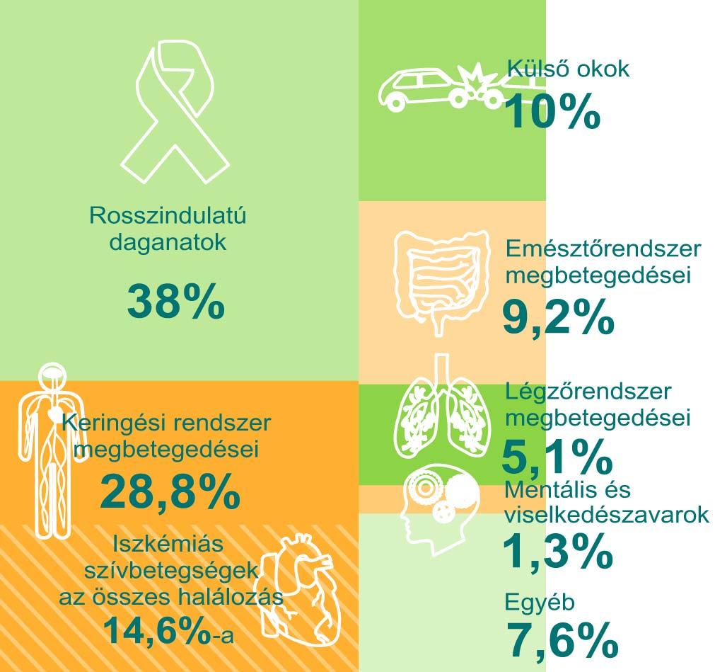 A mutatók javuló tendenciájúak, kivéve néhány jelentõs halálok miatti halálozást Jóllehet a mutatók nagy része javuló tendenciát mutat, ez a javulás nem olyan mértékû, hogy az EU tagországok átlagos