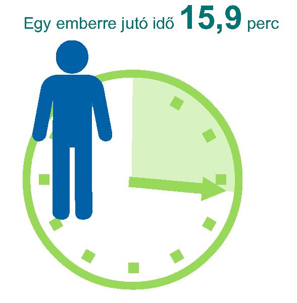 Az aktív ellátás kihasználtsága 70 százalék körül alakul, a krónikus ágyaké mintegy 80 százalék, a rehabilitáció és az ápolás 85, illetve 90 százalék körül alakult.