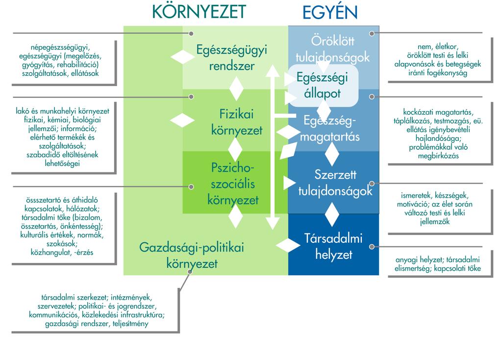 Az egészségügyi rendszeren kívüli tényezõk Az egészségi állapot fent leírt problémáiért nem kizárólag az egészségügyi ellátórendszer felelõs: azok részben társadalmi, gazdasági, környezeti tényezõk