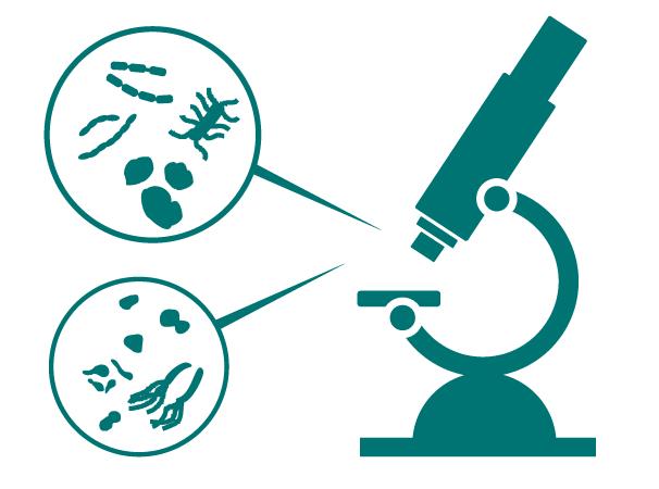 TBC-ellátás A tbc globális szinten komoly egészségügyi problémát jelent, így a WHO The End TB Strategy címmel 2015-ben olyan átfogó stratégiát hirdetett, amelynek legfõbb víziója egy tbc-mentes világ