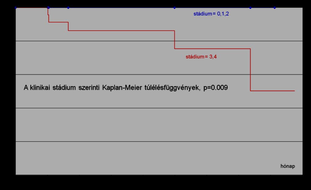 nyirokrégiók metasztázisai. Vizsgáltuk a kapcsolatot a beteg életkora és neme, valamint a túlélés között, azonban beteganyagunkban szignifikáns összefüggést nem találtunk.