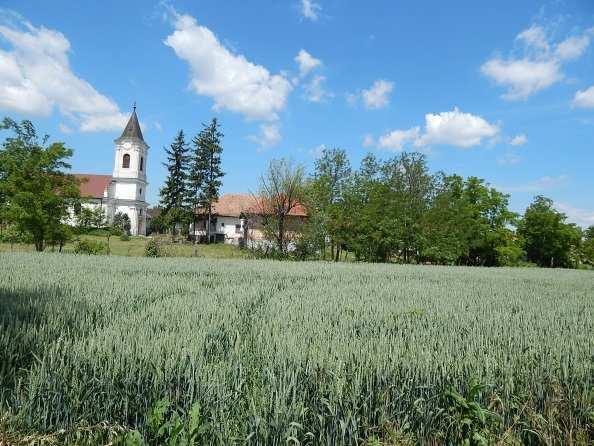 Abasár