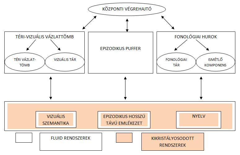 hozzá A procedurális tanulás motoros készségek megtanulását foglalja magában, mint a teniszezés, hangszeren való játék vagy a balról jobbra olvasás.