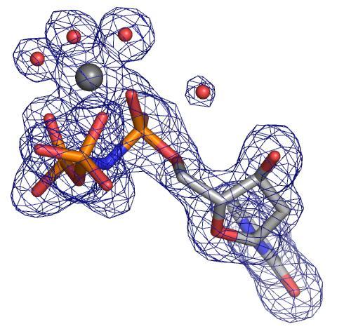 Intermediate structures observed along the reaction coordinate of the dutp hydrolysis: