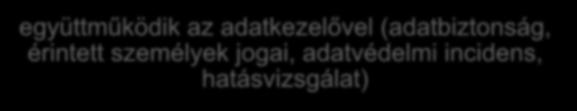 jogai, adatvédelmi incidens, hatásvizsgálat) csak dokumentált utasítás