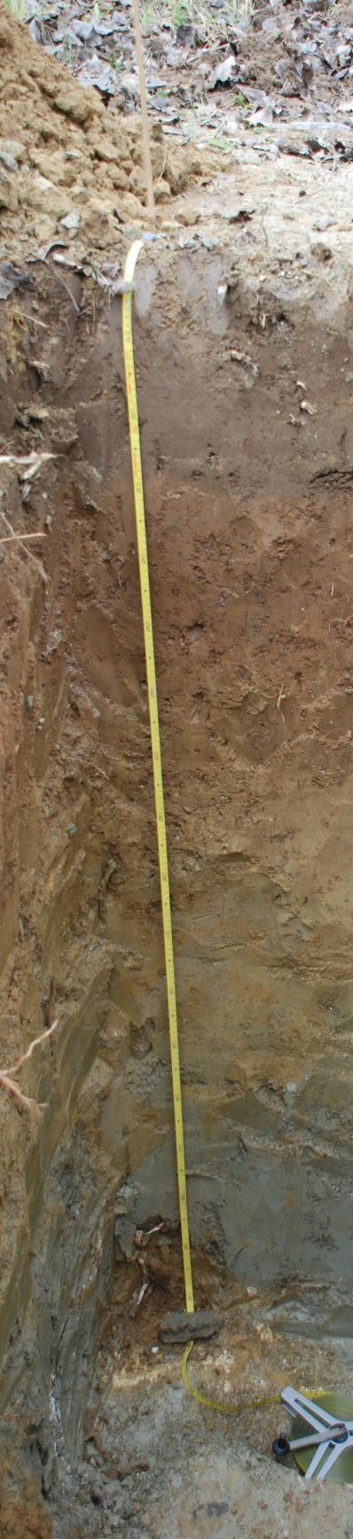 szerkezetű, víz- és tápanyagfelvételt nehezítő talajhibáktól mentes. Fontos további szempont, hogy a talajvíz 150-250 cm mélységben megtalálható legyen.