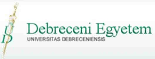 Közelmúlt (2006-10) piaci adatai 2008, ERP adatok: Több, mint 82 000 ügyfél, Kb. 12 millió felhasználó, több mint 120 országban Kb. 51.536 SAP dolgozó (30% nő) Több, mint 1500 partner, kb.