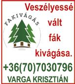 Tel: 06/30/254-1810 Nagytevelen 1.344 m2 építési telek eladó. Iá: 1 M Ft. Tel: 06/70/275-5688 Kiliánon földszinti 1,5 szobás lakás eladó. TN Tel: 06/20/626-7509 Tókertben családi ház eladó.