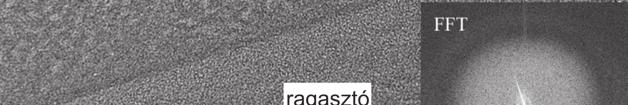 ábra) alapján megállapítottam, hogy CTAB templát alkalmazásával