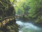 Délután Szlovénia híres nagyvilági üdülôhelyére, a Júlia Alpok központjában található Bledi tóhoz vezet utunk.