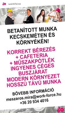 Az általad szóbajöhető iparág cégeiről készíts listát, rendezd táblázatba, nézd meg a honlapjuk karrieroldalait.