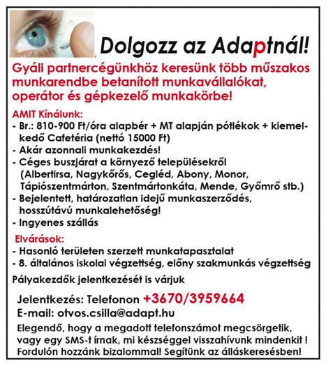 Iratkozz be nyelvtanfolyamra, vagy valamilyen gyorstalpalóra, ha van lehetőséged erre, és/vagy keress ingyenes, online kurzusokat.