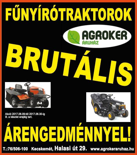 06-70/324-3961 MAGAS áron vásárolok készpénzfizetéssel mindennemű régiséget, bútorokat (koloniált is), dísztárgyakat, festményeket, hanglemezeket, alpakkákat, ezüstneműket, bizsukat, csipkéket,