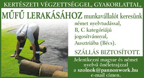 szakmunkásokat. Lehet kezdő is.