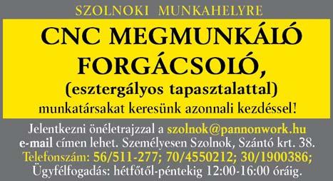 barkácsáruházba napközbeni munkára