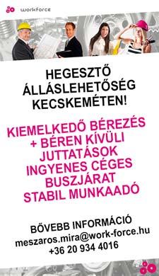 hosszú távra, kiemelten magas bérezés,