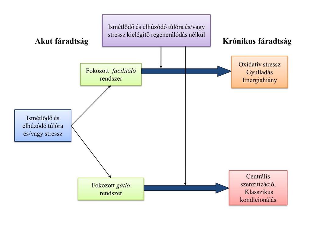 mégpedig egy folyamatos, tartós riasztás képében, amely a pihenés elérkeztére hívja fel az egyén figyelmét.