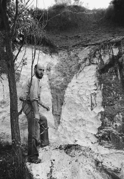 1 m block of the tabular sandstone (Somló Fm.