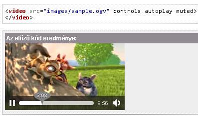 A video taggel videót lehet betenni az oldalba.