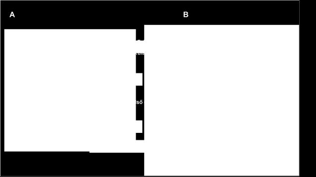 A szerves és szervetlen alkotóelemek arányát és eloszlását az adott szerv funkciója, a faj élőhelye és viselkedése is befolyásolja (Becker et al. 2005, Hild et al. 2008, Neues et al.