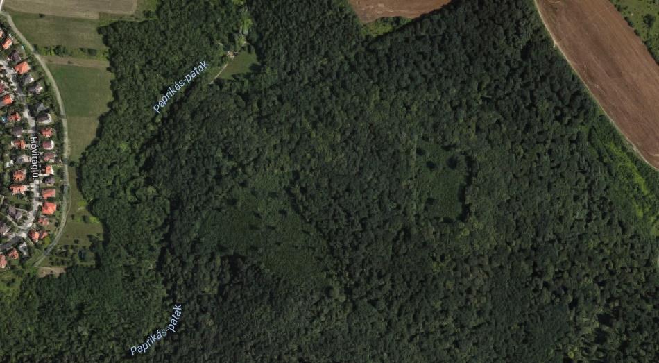 Solymár Felső-patak-hegy Alsó-Jegenye-völgy N 100 m 7. ábra: Mintavételi helyszíneink Solymár település közelében helyezkedtek el.