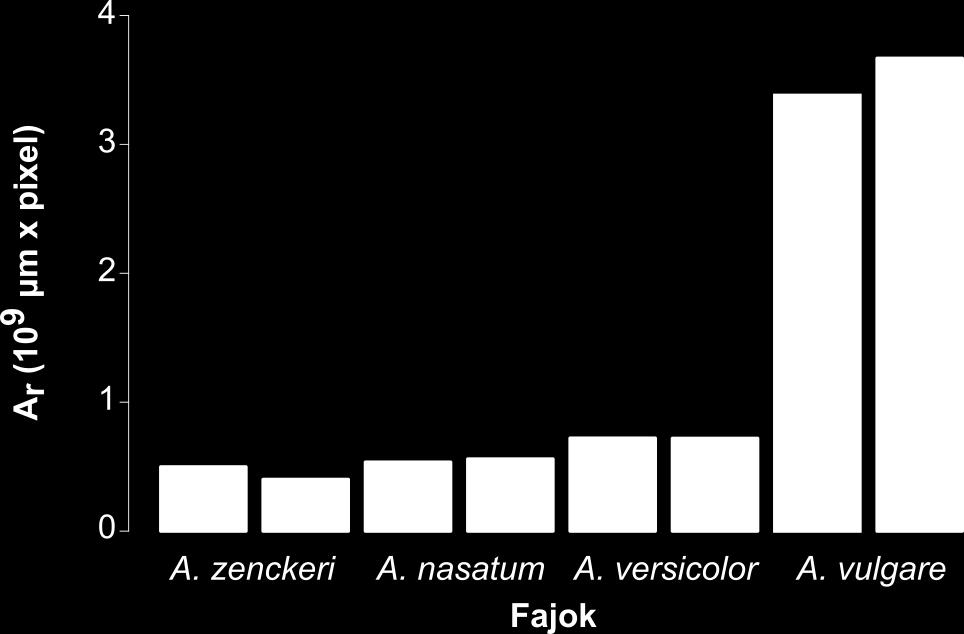 37. ábra: A teljes légzőfelszín értékei