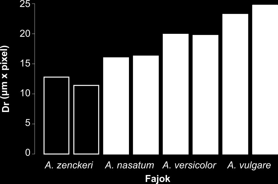 ábra: A légzőfelszín sűrűség értékei (Dr).