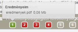 A zöld piktogram azt jelenti, hogy a felhasználó már elmentette az adott dokumentumot és a véglegesítéshez szükséges minden információt sikeresen kitöltött, azaz a dokumentum megfelel a véglegesítés
