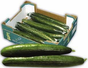 ZÖLD VAGY TRICOLOR 500