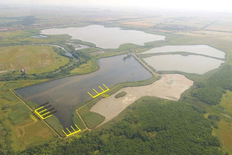 MT Ökológiai Kutatóközpont z övtranszszekten belül lehetőség van azt részekre bontva mélységi zónák (0 1m, 1 2 m, 2 4 m, 4 8 m és mélyebb, mint 8 m) vagy növényzeti zónák (lebegő hínaras, gyökerező