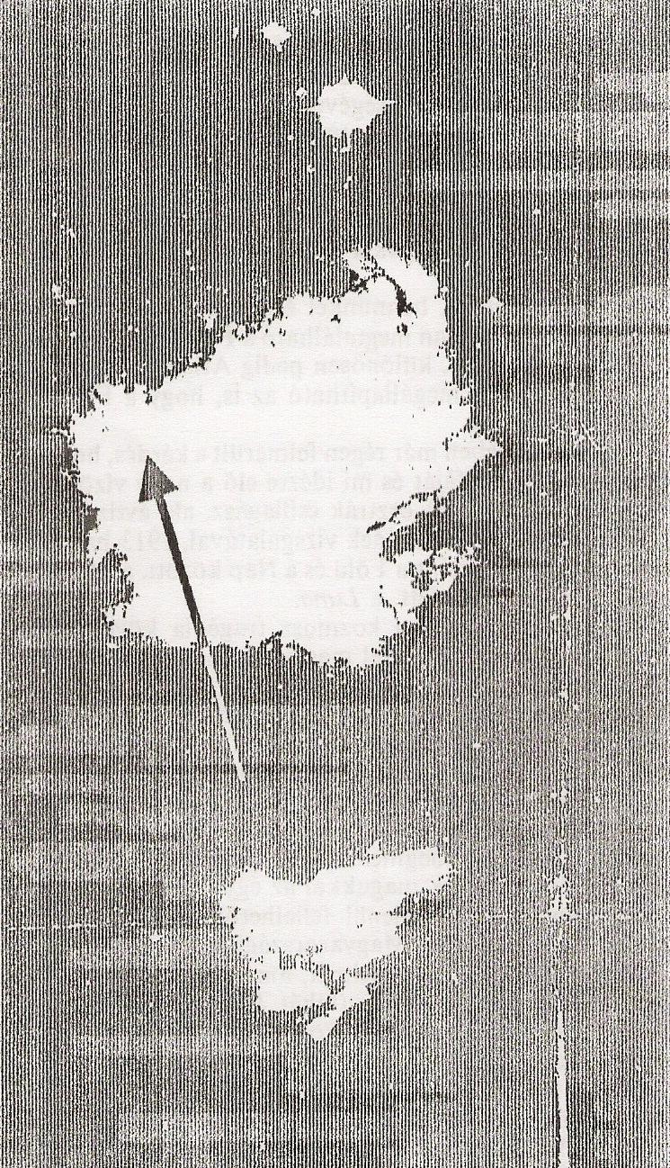 ŐSTÖRTÉNET SYKES 1949-ben egy expedícióval kutatott Atlantis után az Atlanti-óceánnak pontosan azon a részén, amelyen Tchetkin és Joke felvételei