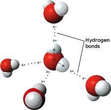 Hidrogénkötés ˆ A víz szerkezetében és