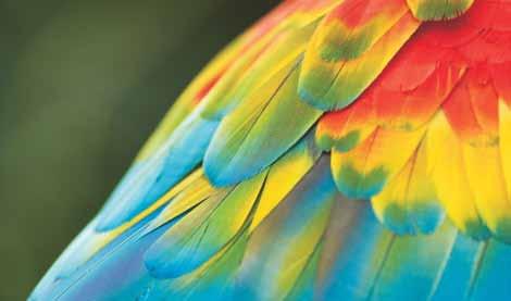 A ColorSystem színvédelem elsősorban a színek tónusát, az újszerű állapotuk tartósságát célozta meg.