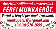 Várjuk online Magyarország legdinamiku- fényképes önéletrajzodat a rogoz.timea@pizzaforte.hu e-mail címre. Tárgymezőbe kérlek jelöld meg a pizzériahálózatá hoz!