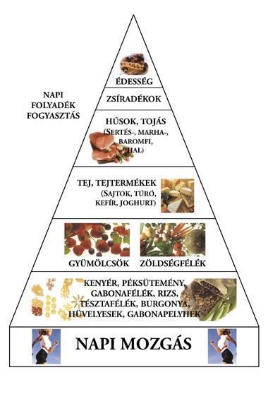 Mi a lényege az egészséges táplálkozásnak. A szervezet a létfontosságú tápanyagokból a megfelelő mennyiséget kapja.
