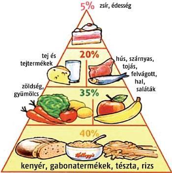 Az elhízás számos betegség rizikófaktora.
