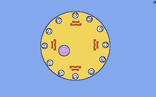 (a mitokondriumok csak anyai eredetüek lehetnek) Mielőtt