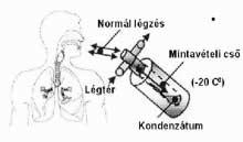 feltételezésen alapszik, hogy a kilégzett levegő részecskéi a bronchoalveolaris folyadék illetve az alsó légutak levegőjének az összetételét tükrözik A kilégzett levegőt lehűtve a benne található