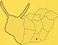 A nemzetközi jelenlét része a külföldi szakmai rendezvényeken való rendszeres részvétel is: az Alpha-Vet Kft.