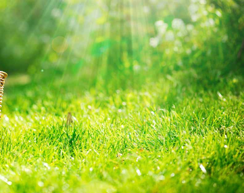 Gyümölcsfák vízigénye Vízgazdálkodás a talajban VízŐr készítménnyel A művelés alatt álló talajok szerkezetét, a természettől kapott alapvető vízgazdálkodási tulajdonságait általában nem áll módunkban